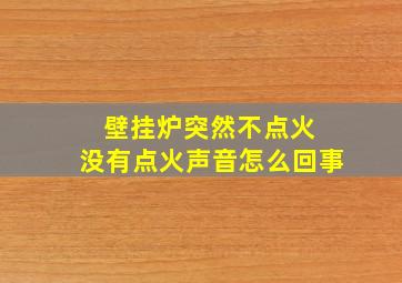 壁挂炉突然不点火 没有点火声音怎么回事